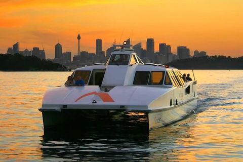 Small Group Blue Mountains, Featherdale, Lunch & Cruise Day Tour - Holiday Adelaide 1