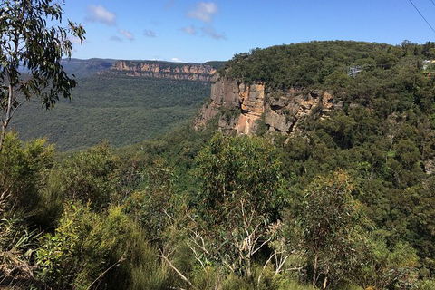 Small Group Blue Mountains, Featherdale, Lunch & Cruise Day Tour - Holiday Adelaide 5