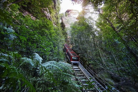 Small Group Blue Mountains, Featherdale, Lunch & Cruise Day Tour - Holiday Adelaide 2