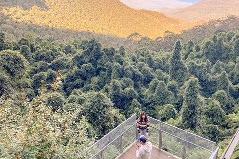 Small Group Blue Mountains, Featherdale, Lunch & Cruise Day Tour - Holiday Adelaide 9