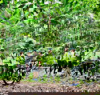 Guided E Bike Tour - Hells Hole Pools  Rainforest - Holiday Adelaide