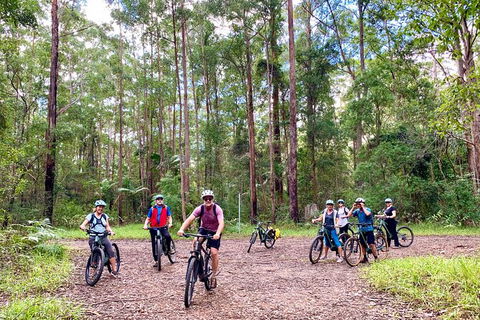 Guided E Bike Tour - Hells Hole Pools & Rainforest - Holiday Adelaide 2