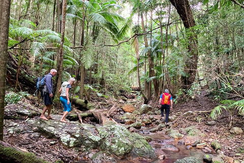 Guided E Bike Tour - Hells Hole Pools & Rainforest - Holiday Adelaide 11
