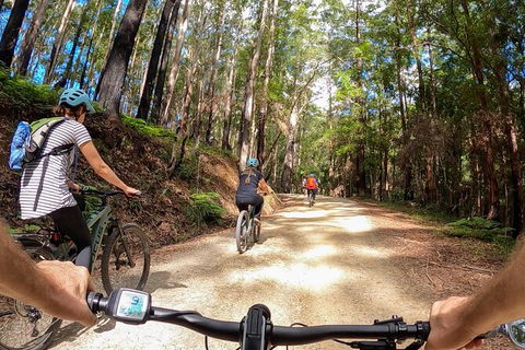 Guided E Bike Tour - Hells Hole Pools & Rainforest - Holiday Adelaide 3