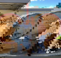 Private Day Tour of Hunter Valley Wineries - Holiday Adelaide