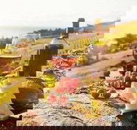 Six hour - plan your own wine and cheese tour Hunter Valley - Holiday Adelaide