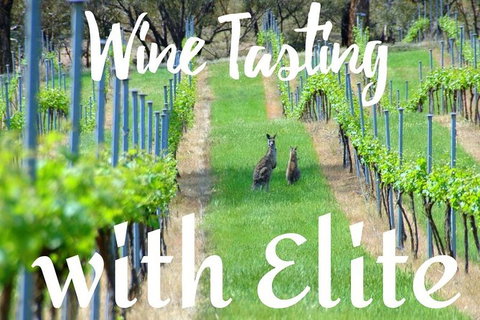 Six Hour - Plan Your Own Wine And Cheese Tour Hunter Valley - Holiday Adelaide 7