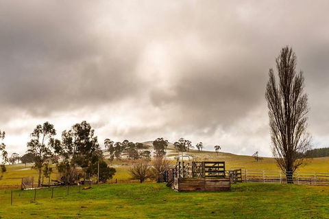 Paddock To Plate Farm Tour And Tasting - Holiday Adelaide 0