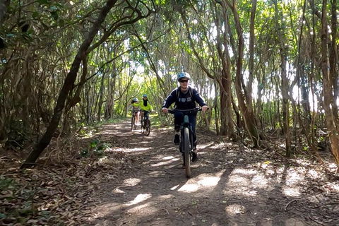 Guided E Bike Tour - Lush Hinterland & Secret Beaches - Holiday Adelaide 8