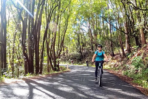 Guided E Bike Tour - Unicorn Falls & National Park - Holiday Adelaide 16