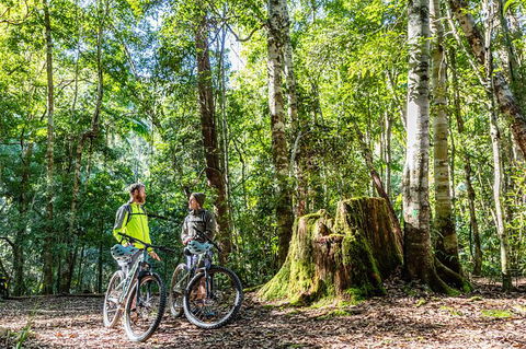 Guided E Bike Tour - Unicorn Falls & National Park - Holiday Adelaide 14