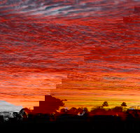 Private Full-Day Wine Tour in Hunter Valley - Holiday Adelaide