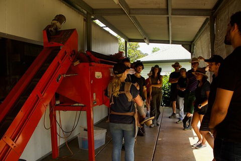 Pecan Farm Tour And Workshop, Byron Bay Hinterland - Holiday Adelaide 4