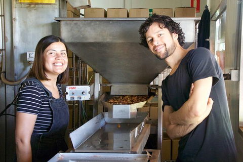 Pecan Farm Tour And Workshop, Byron Bay Hinterland - Holiday Adelaide 7
