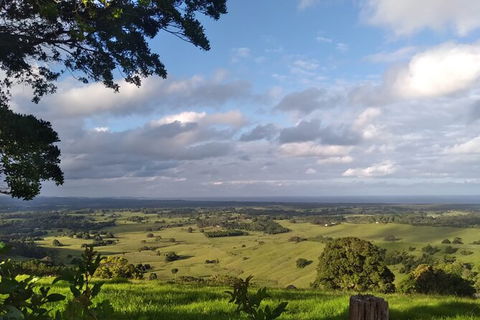 Pecan Farm Tour And Workshop, Byron Bay Hinterland - Holiday Adelaide 1