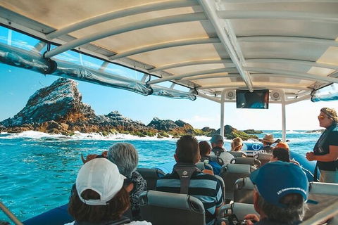 Julian Rocks Byron Bay Cruise - Holiday Adelaide 13