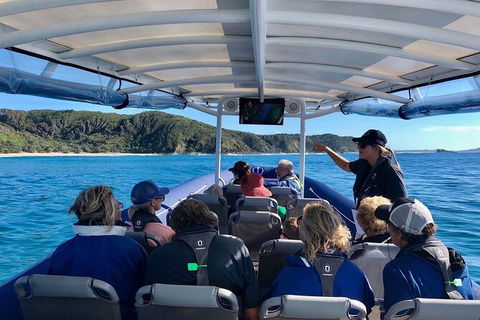 Julian Rocks Byron Bay Cruise - Holiday Adelaide 11