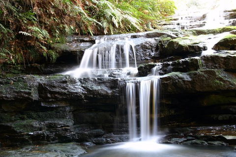 Private 10-hour Tour To Blue Mountains From Sydney - Hotel Pick Up & Drop Off - Holiday Adelaide 6