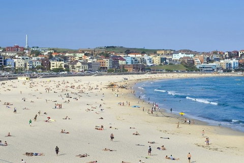 Sydney With Bondi And Beaches Essentials Private Day Tour - Holiday Adelaide 2
