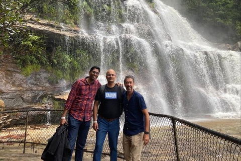 Blue Mountains Highlights & Wildlife Park - Holiday Adelaide 4