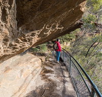 Blue Mountains Highlights  Wildlife Park - Holiday Adelaide