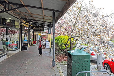 Blue Mountains Highlights & Wildlife Park - Holiday Adelaide 2