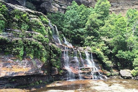 Blue Mountains Highlights & Wildlife Park - Holiday Adelaide 8