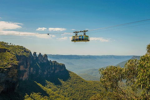 Blue Mountains Highlights, Wildlife Park And Scenic World Full Day Private Tour - Holiday Adelaide 0