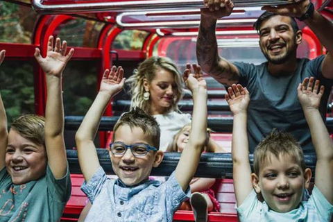 Blue Mountains Highlights, Wildlife Park And Scenic World Full Day Private Tour - Holiday Adelaide 5