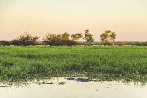 Yellow Water Cruise - Kakadu - Holiday Adelaide 4