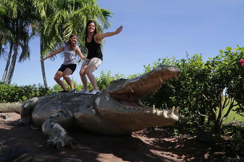 Jumping Crocs & Nature Adventure Cruise From Darwin - Holiday Adelaide 5