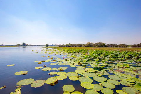 Jumping Crocs & Nature Adventure Cruise From Darwin - Holiday Adelaide 8