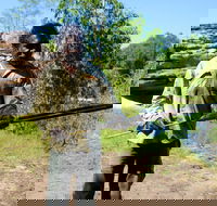 Kakadu  Arnhem Land tour Camping tour - Holiday Adelaide