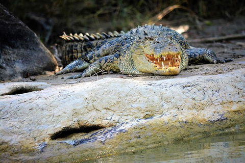 Ethical Adventures - Kakadu 2 Day- Max 10 Guests - Holiday Adelaide 3