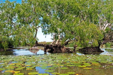 Ethical Adventures - Kakadu 2 Day- Max 10 Guests - Holiday Adelaide 10