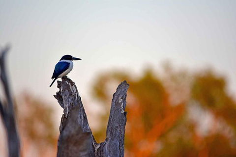 Ethical Adventures - Kakadu 2 Day- Max 10 Guests - Holiday Adelaide 4