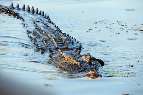 Ethical Adventures - Kakadu 2 Day- Max 10 Guests - Holiday Adelaide 8