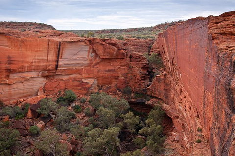 Uluru, Kata Tjuta And Kings Canyon Camping Safari From Alice Springs - Holiday Adelaide 4