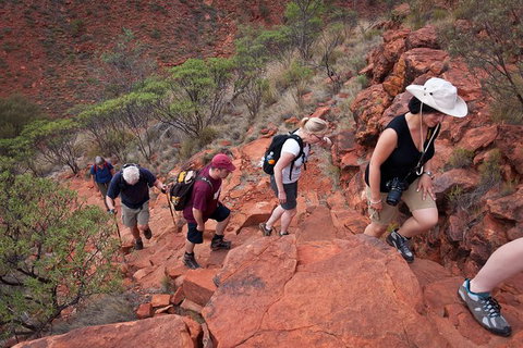 Uluru, Kata Tjuta And Kings Canyon Camping Safari From Alice Springs - Holiday Adelaide 3