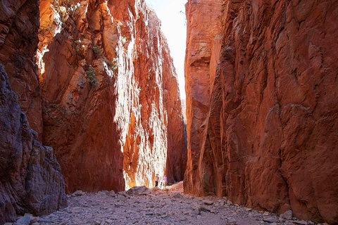 Best Of Alice Springs Full Day Tour - Holiday Adelaide 6
