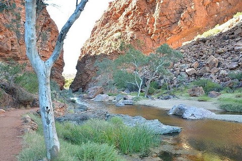 Alice Springs, Uluru Ayers Rock & Kings Canyon 8 Days Touring Package - Holiday Adelaide 2