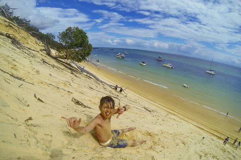 All Inclusive Dolphin And Tangalooma Wrecks Cruise - Holiday Adelaide 1