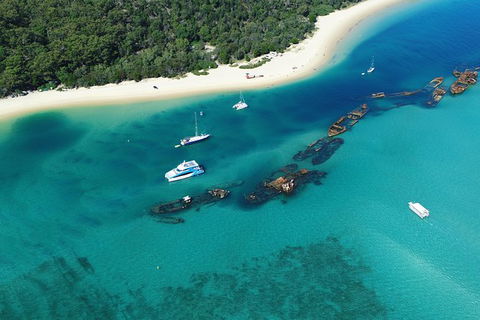 All Inclusive Dolphin And Tangalooma Wrecks Cruise - Holiday Adelaide 3