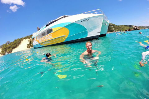 All Inclusive Dolphin And Tangalooma Wrecks Cruise - Holiday Adelaide 0