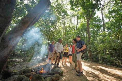 Aboriginal Cultural Daintree Rainforest Tour From Cairns Or Port Douglas - Holiday Adelaide 3