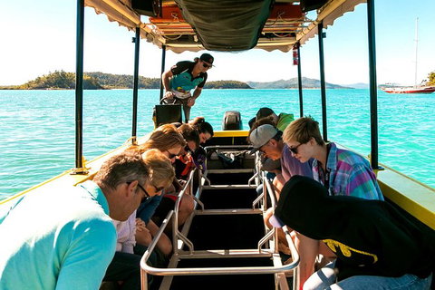 Airlie Beach Glass Bottom Boat Tour - Holiday Adelaide 5