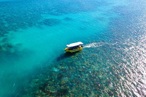 Airlie Beach Glass Bottom Boat Tour - Holiday Adelaide 3