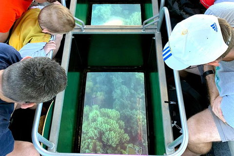 Airlie Beach Glass Bottom Boat Tour - Holiday Adelaide 2