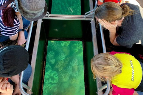 Airlie Beach Glass Bottom Boat Tour - Holiday Adelaide 11