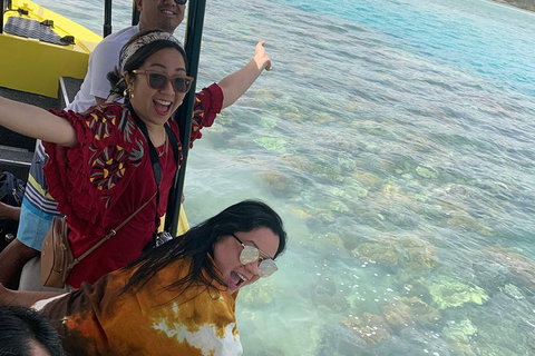 Airlie Beach Glass Bottom Boat Tour - Holiday Adelaide 6